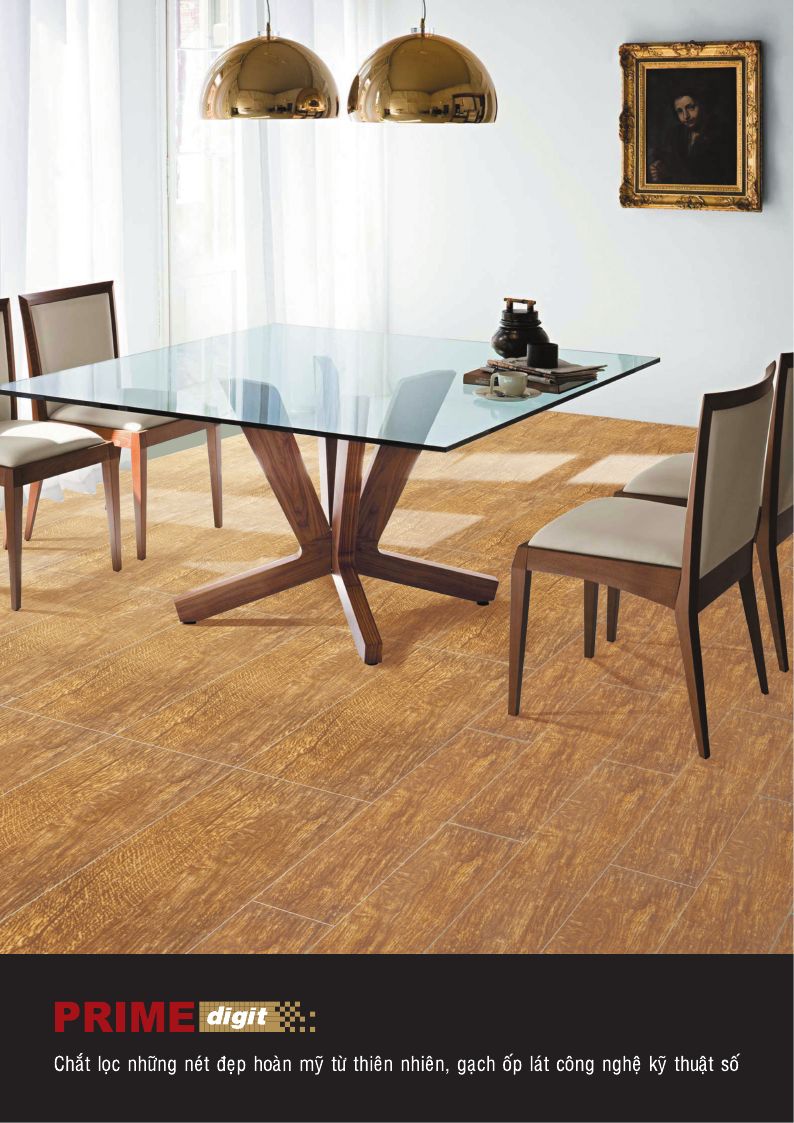 Prime Tien Phong 30x120